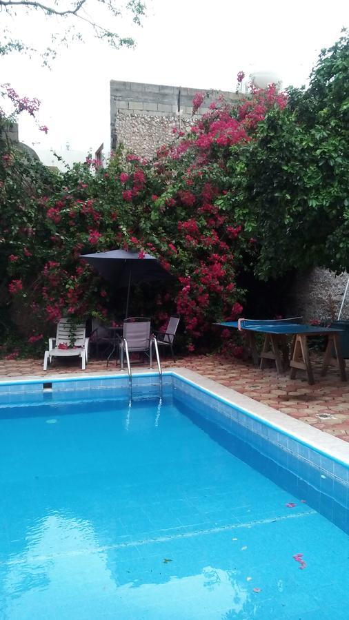 מרידה Yucatan Vista Inn Guest House מראה חיצוני תמונה